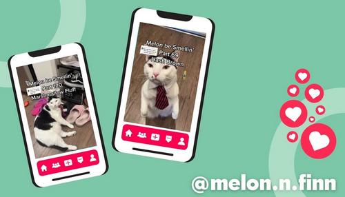 melon and finn tiktok video screenshots